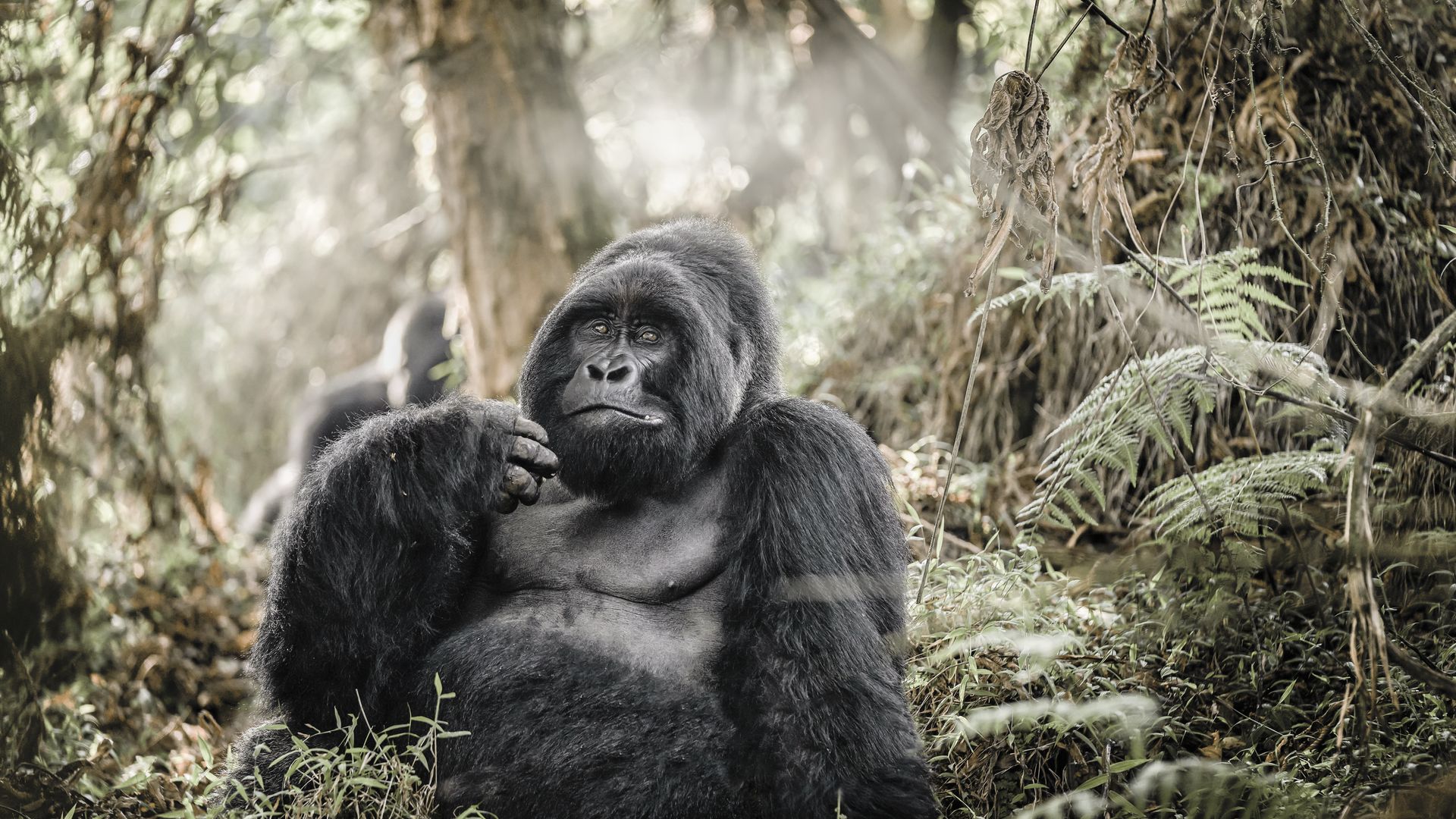 Une rencontre au sommet !