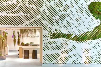 4. Bild der Unterkunft