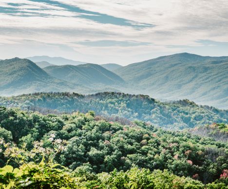 Der Great Smoky Mountains National Park ist der beliebteste Nationalpark der USA.
