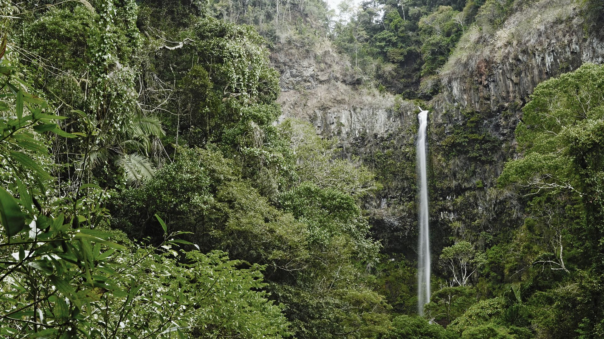 Ein Wasserfall im Montagne-d'Ambre-Nationalpark im Norden Madagaskars