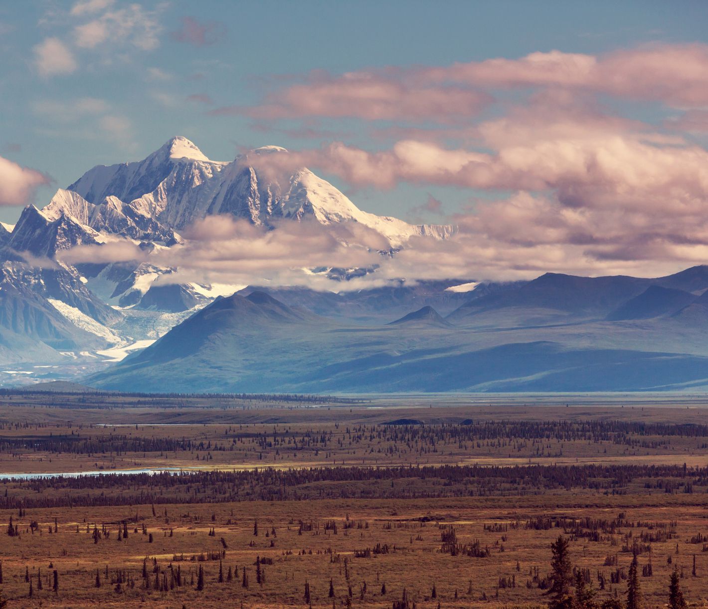 Blick auf den Mount Denali