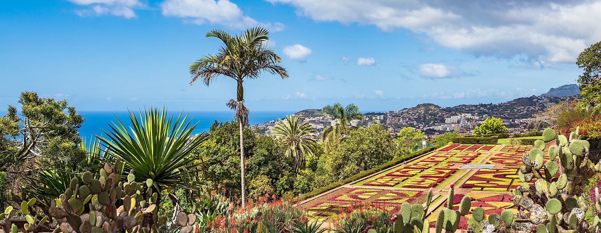 Botanischer Garten in Funchal