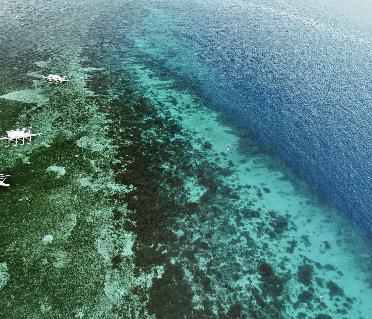 Pamilacan, die Insel der Delfine und Traditionen