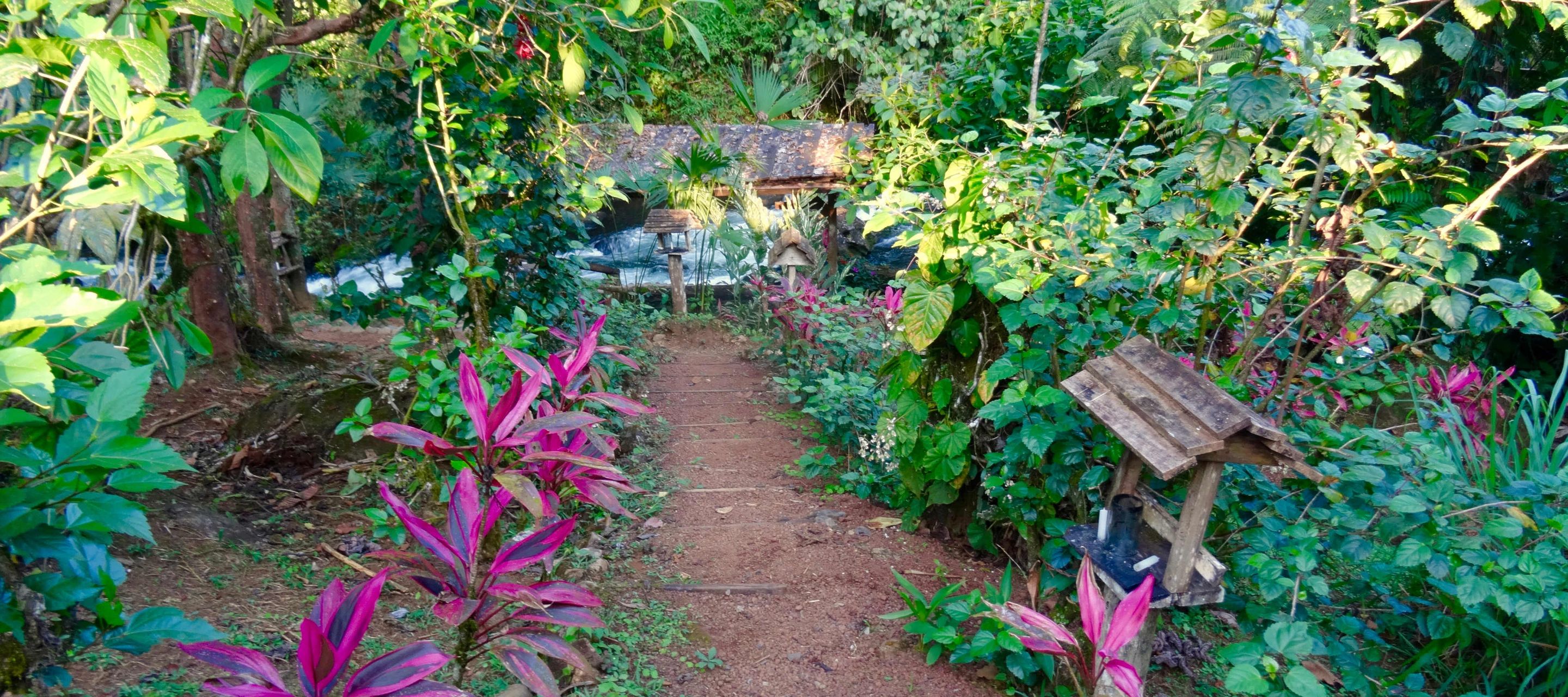 La Carolina Lodge - Sentier vers la rivière