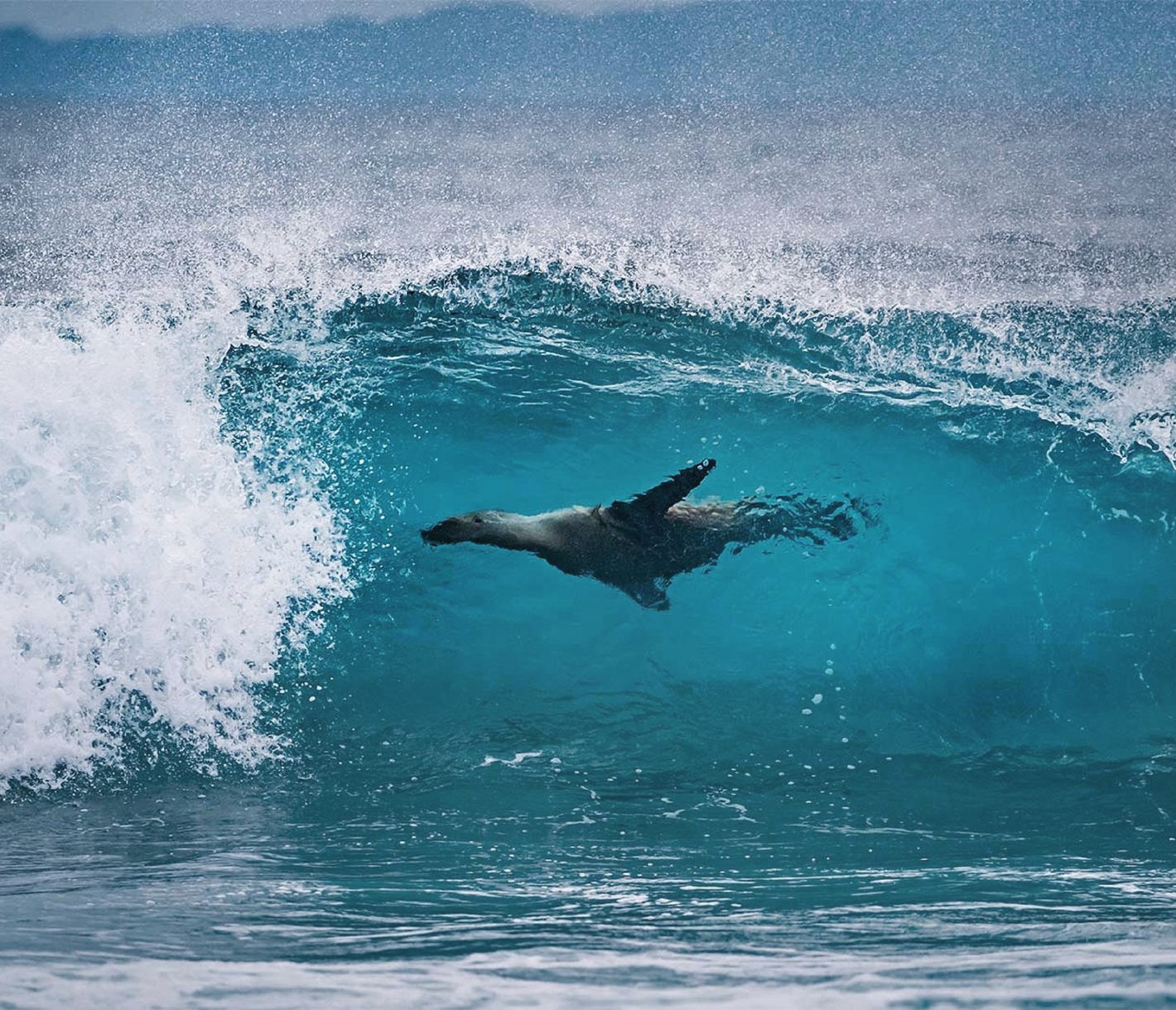 In den Wellen spielen.