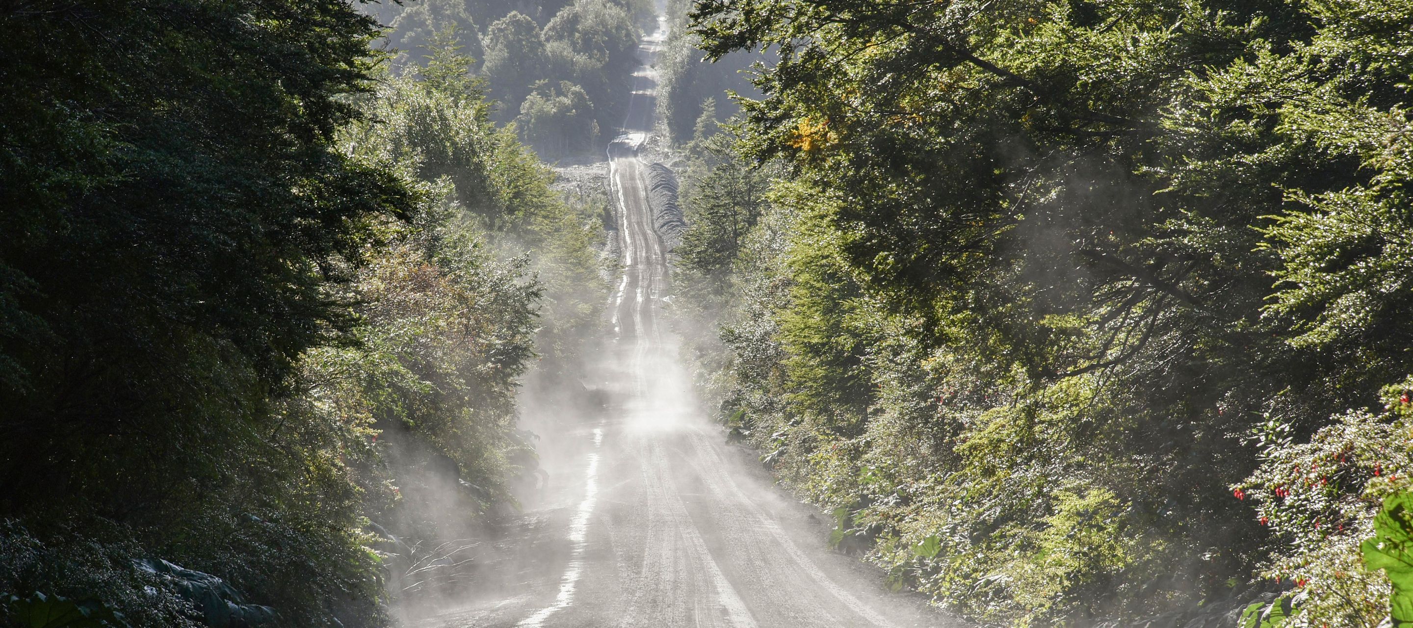 Loin de l'agitation, sur la légendaire Carretera Austral