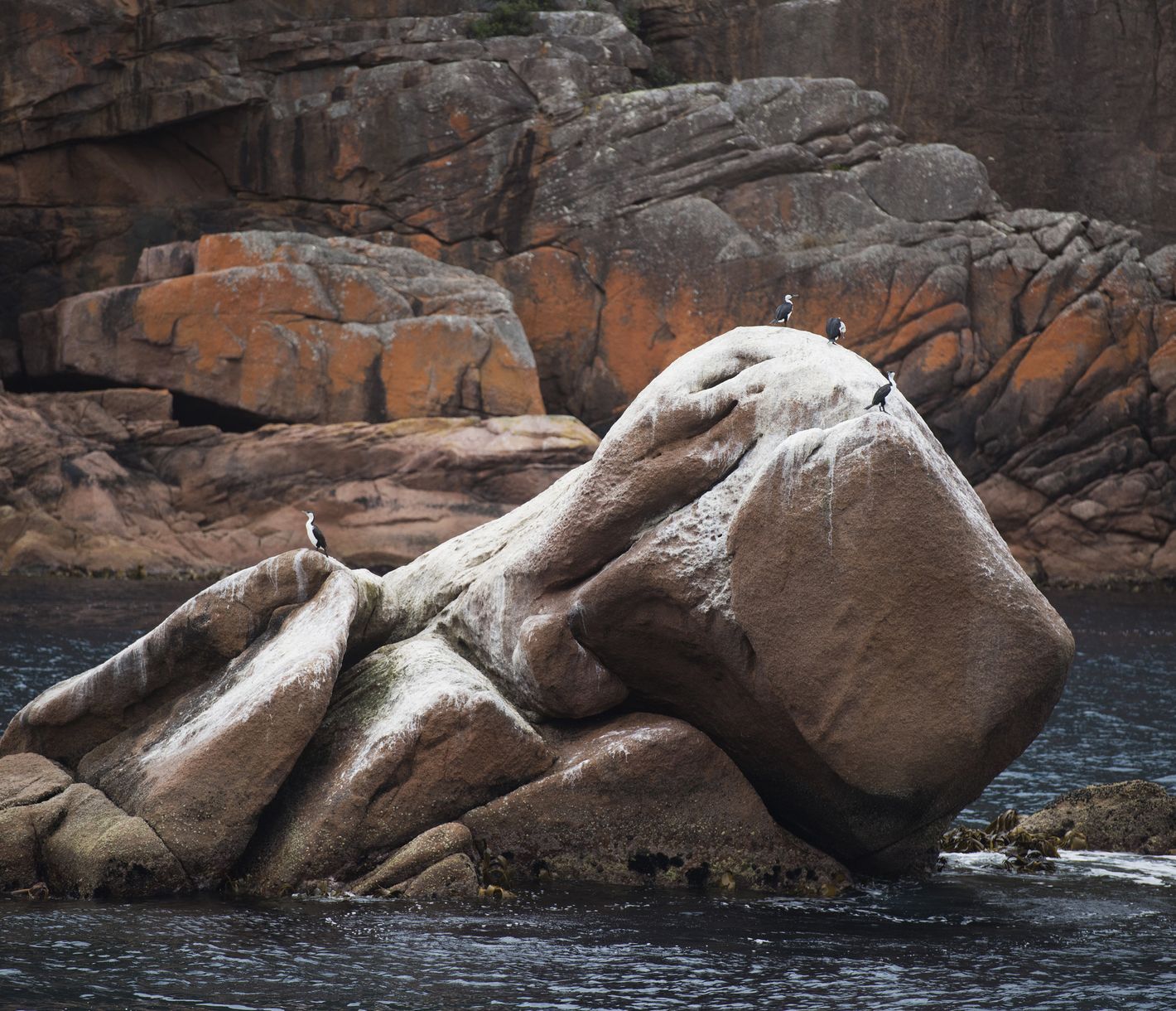 Nach dem Wind gerichtet