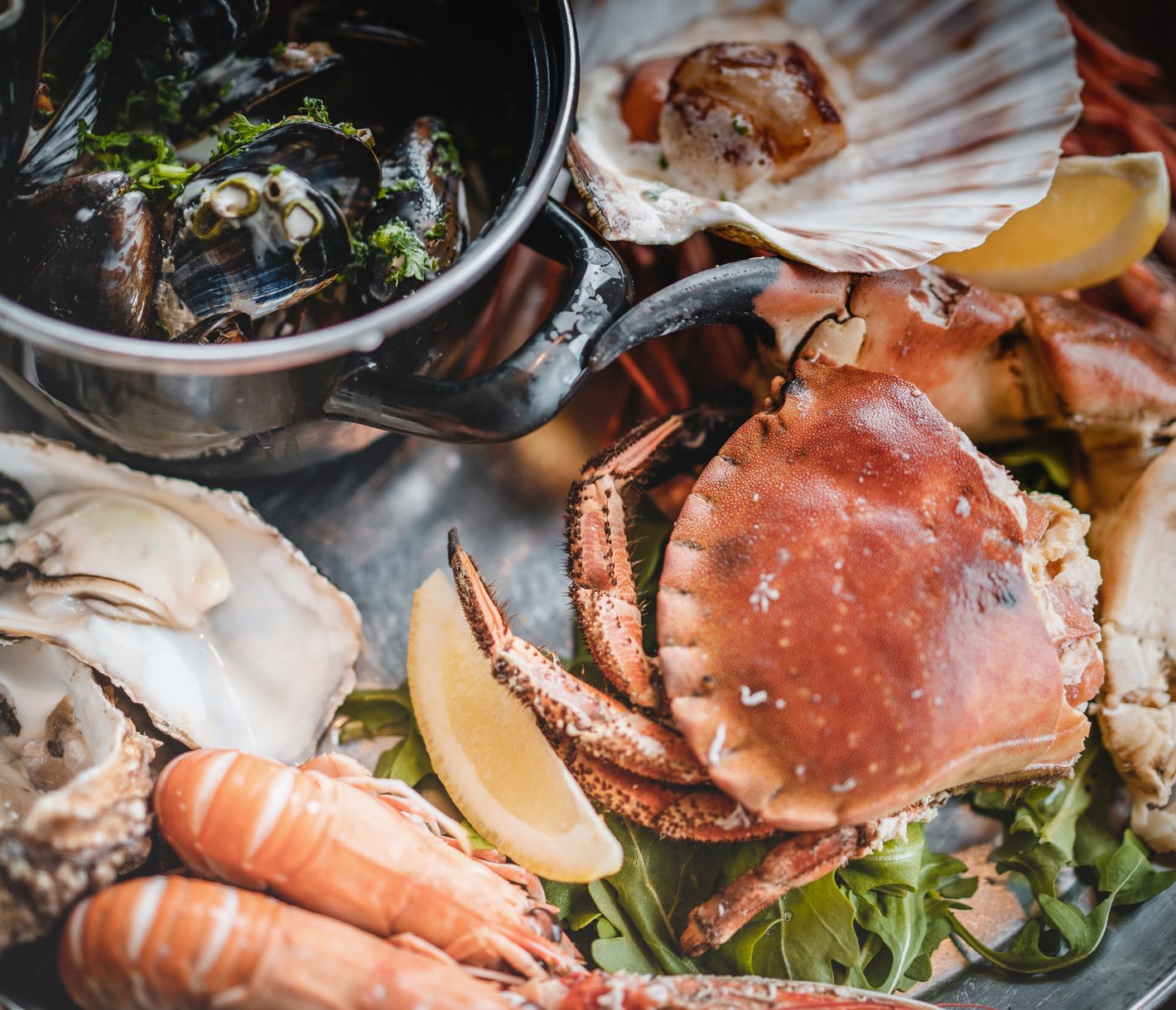 Kulinarik: feine Meeresfrüchte