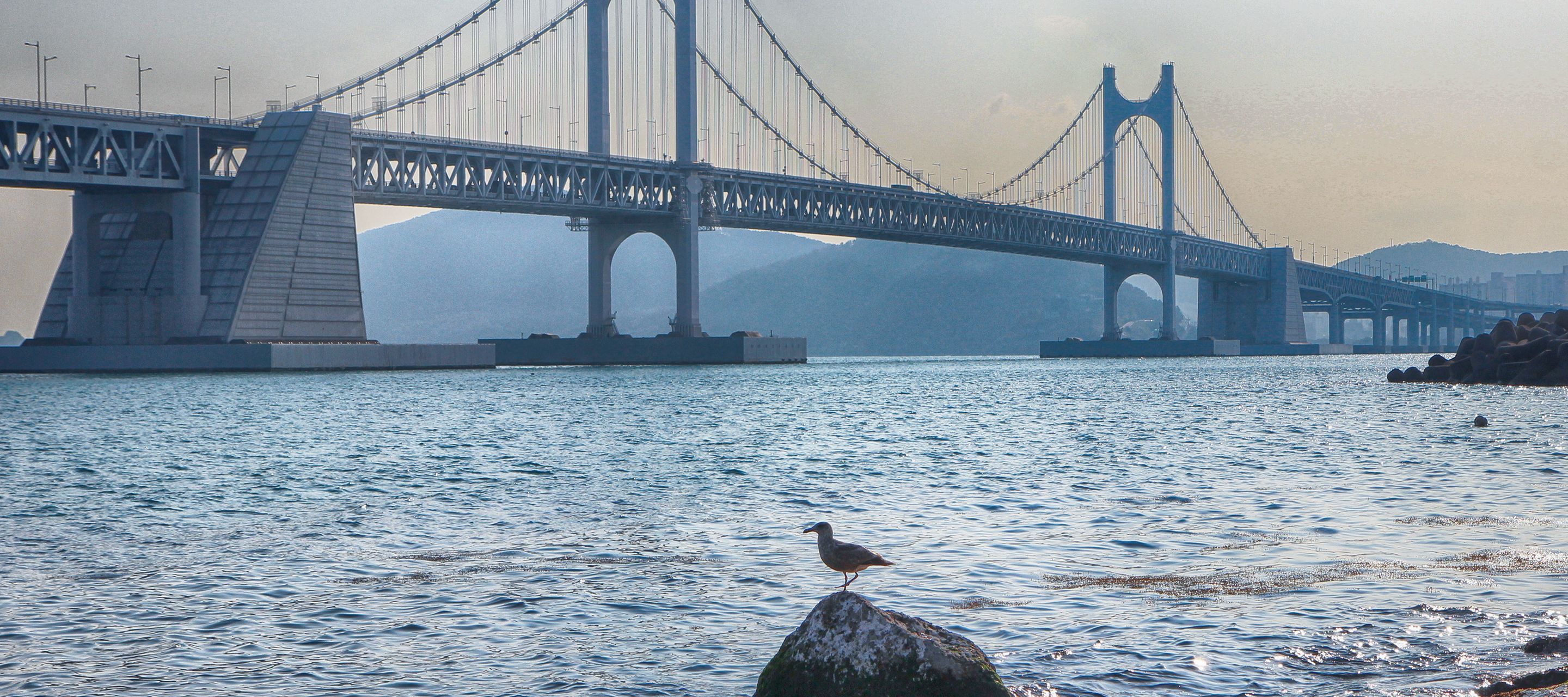 L’arrivée dans la ville portuaire de Busan par le pont de Gwangan.