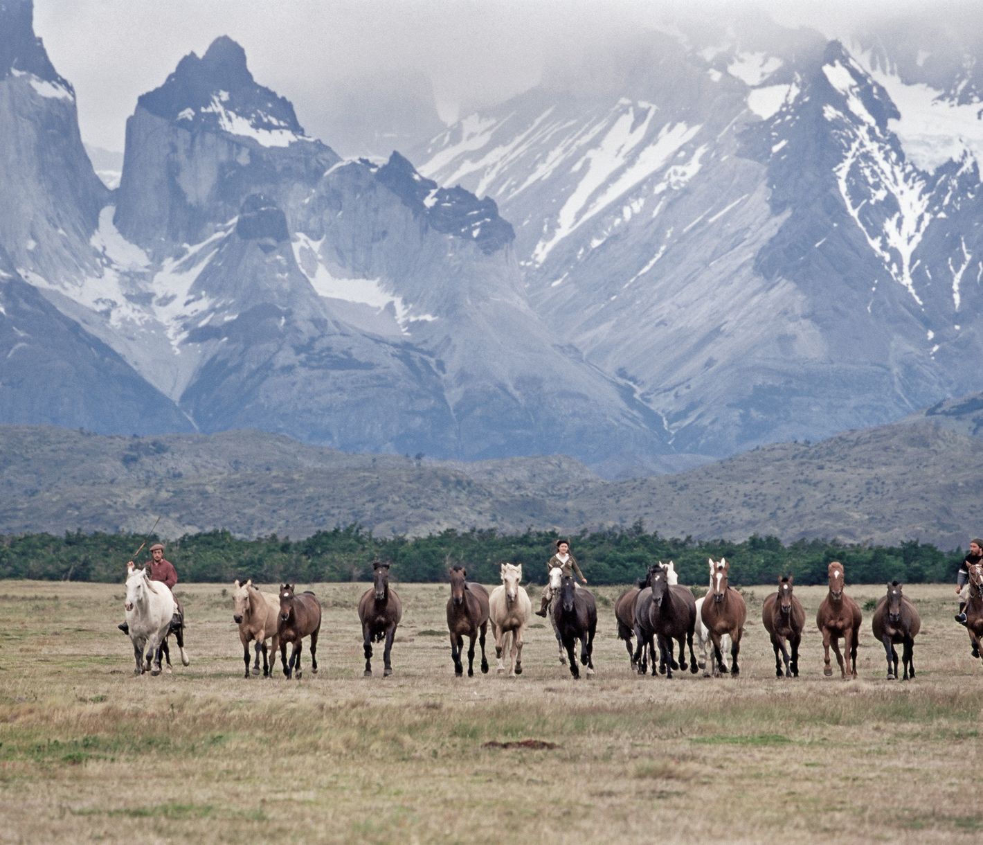 Zu Besuch bei den Gauchos