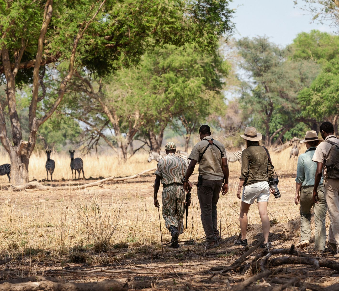 Auf einer Fusspirsch kommt man Zebras nah