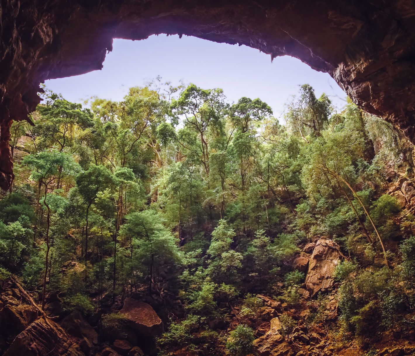 Eingang der «Bat Cave» (Fledermaus-Höhle) im Ankarana-Nationalpark