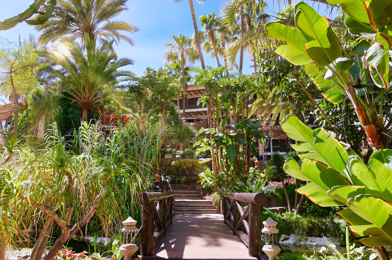 Parque Tropical
