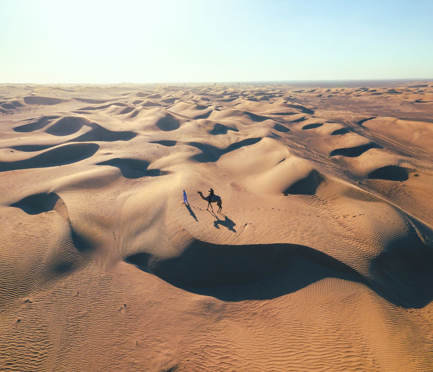 Wüste bei Dubai – Kamel mit Führleine in der Weite der Dünen