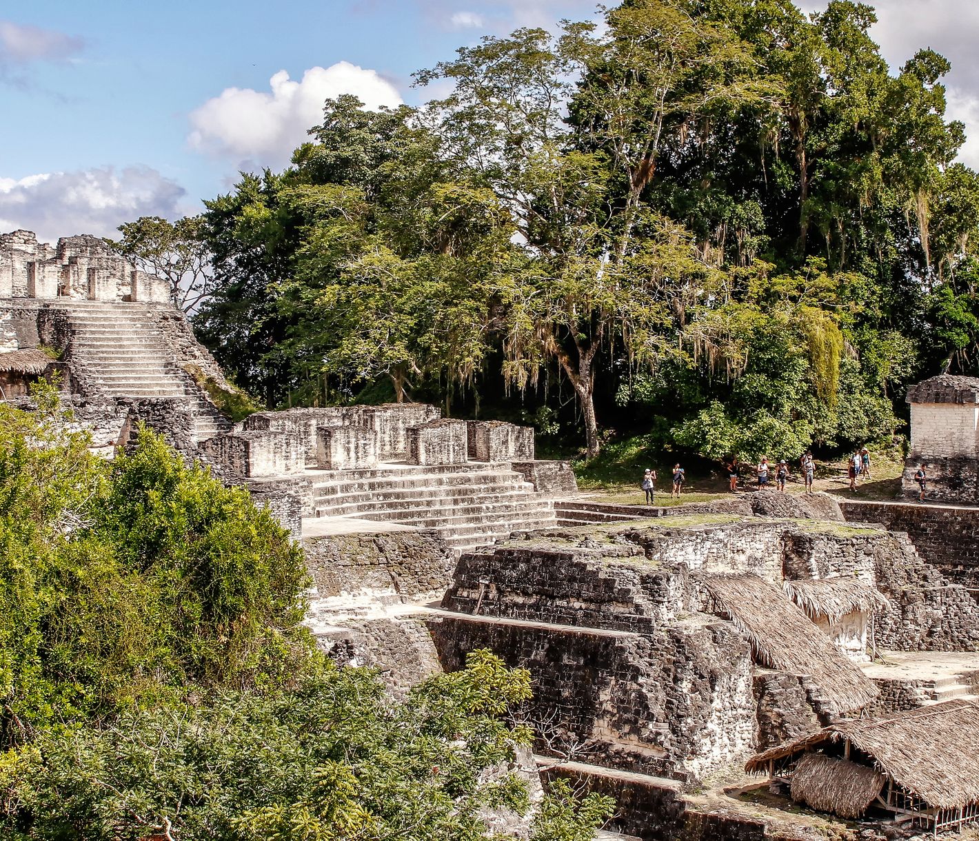 Tikal – eine der bedeutendsten Maya-Ruinen