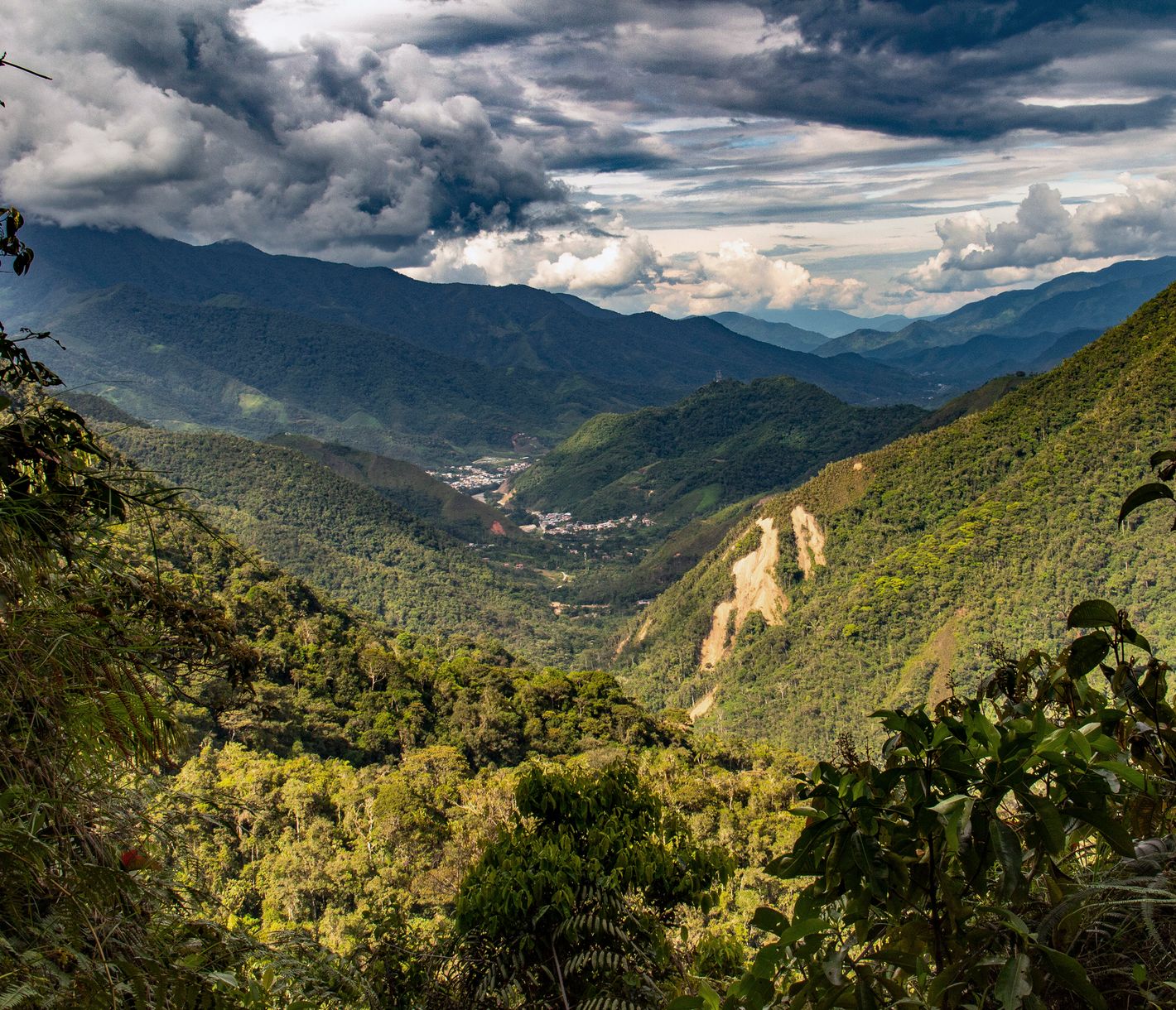Wanderung im unberührten Nationalpark Podocarpus