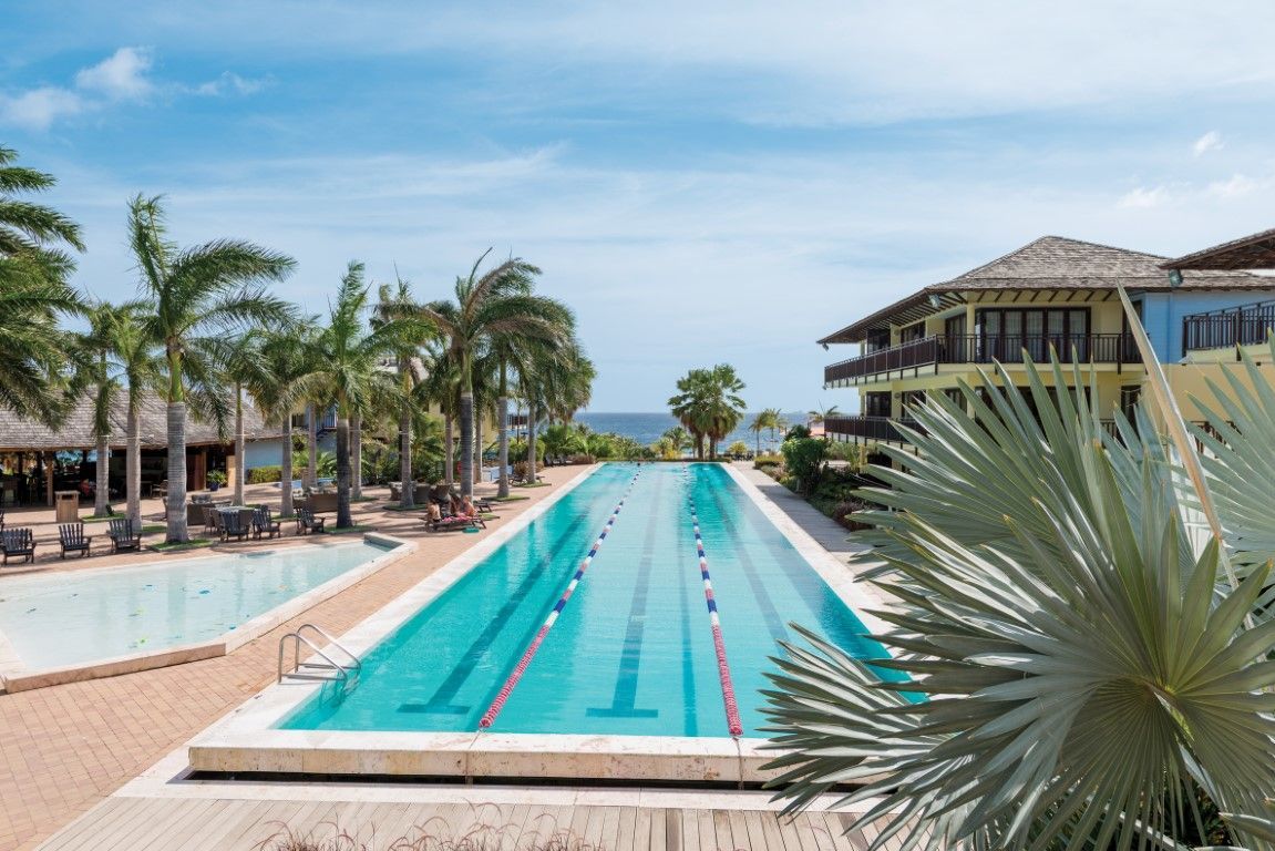 Piscine de 50 mètres