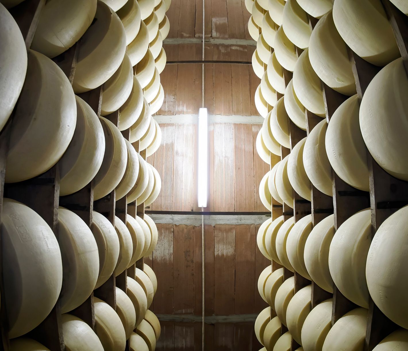 Parmigiano