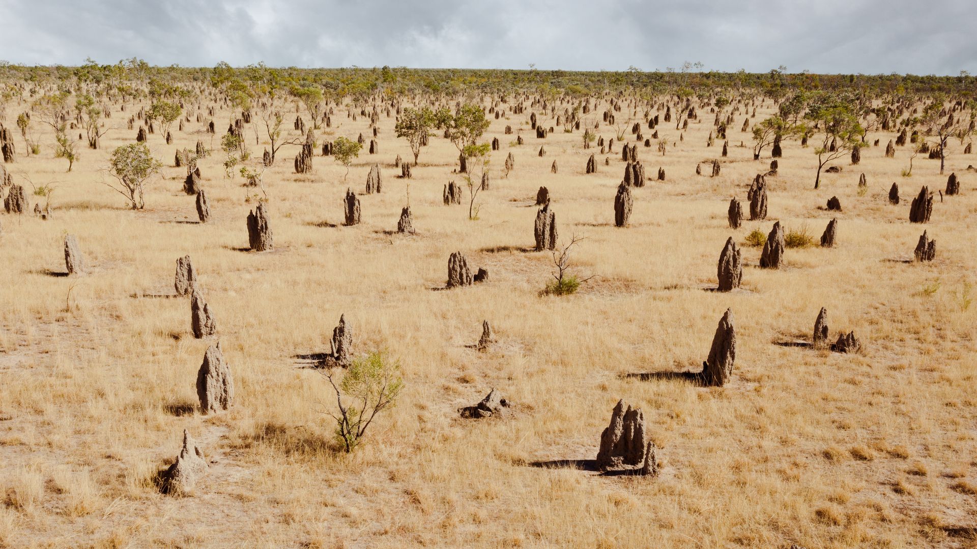 Wer wohnt denn hier?