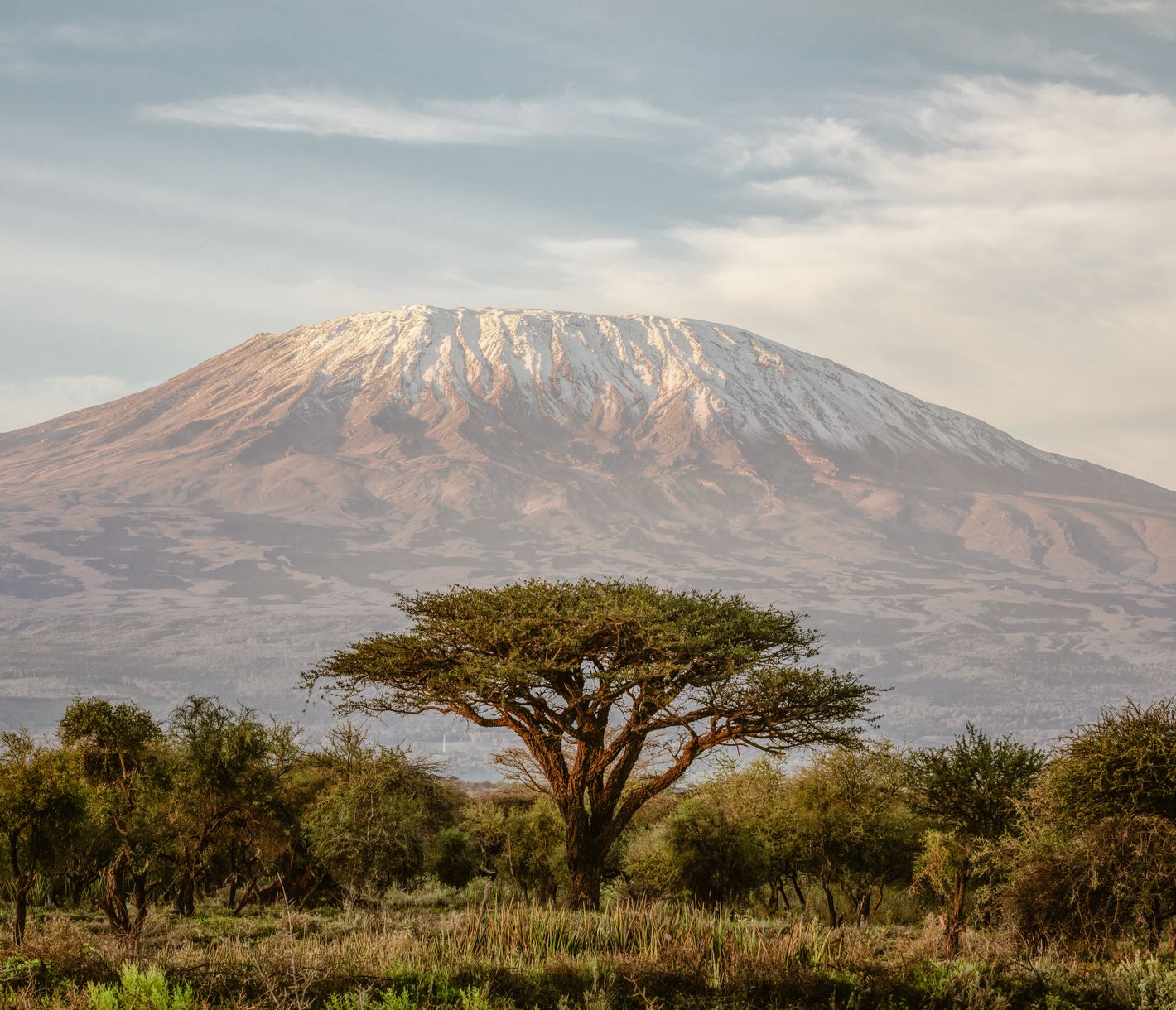 Der Kilimandscharo dominiert die weiten Ebenen beim Amboseli-Nationalpark.