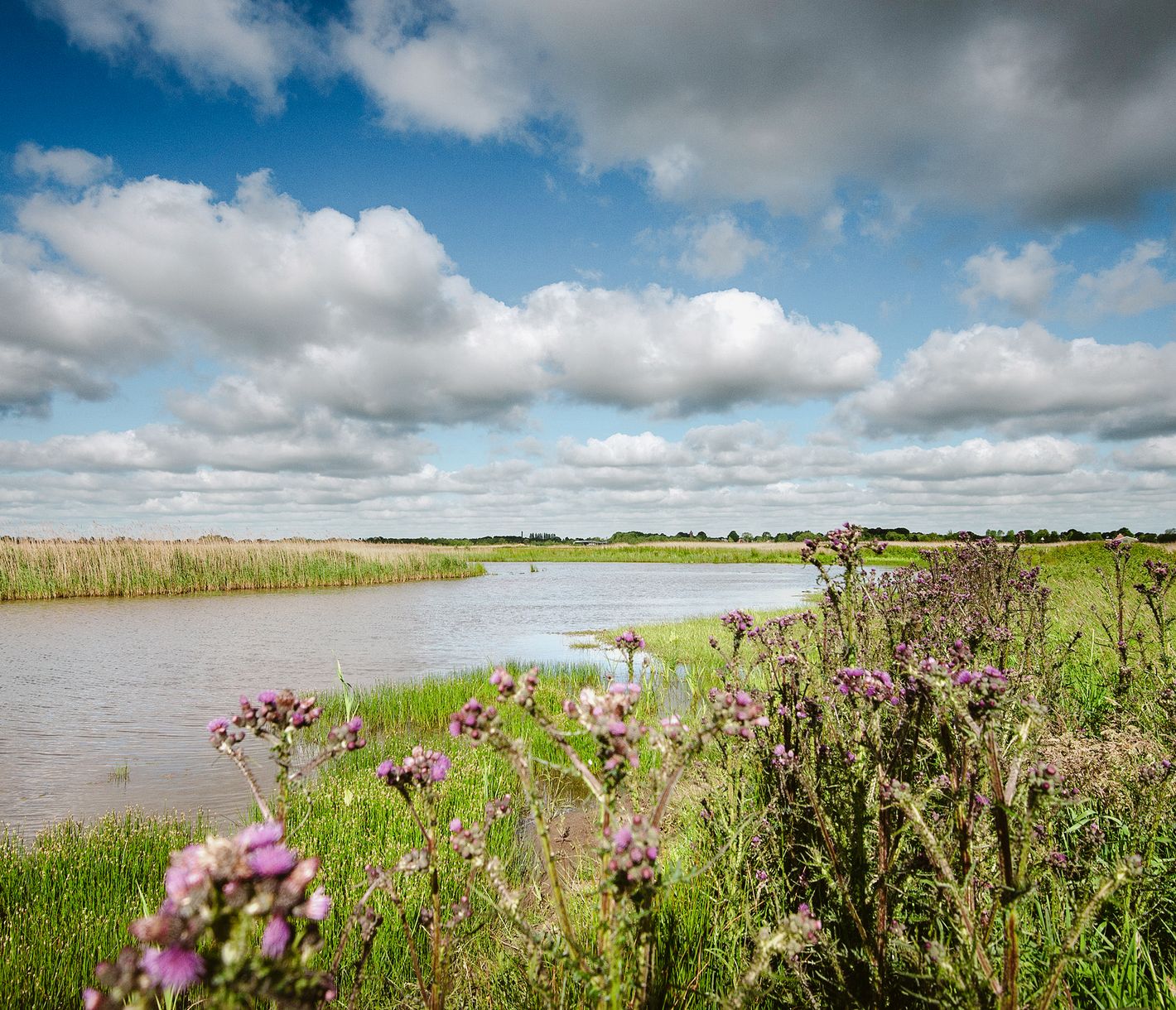 Wasserparadies Friesland