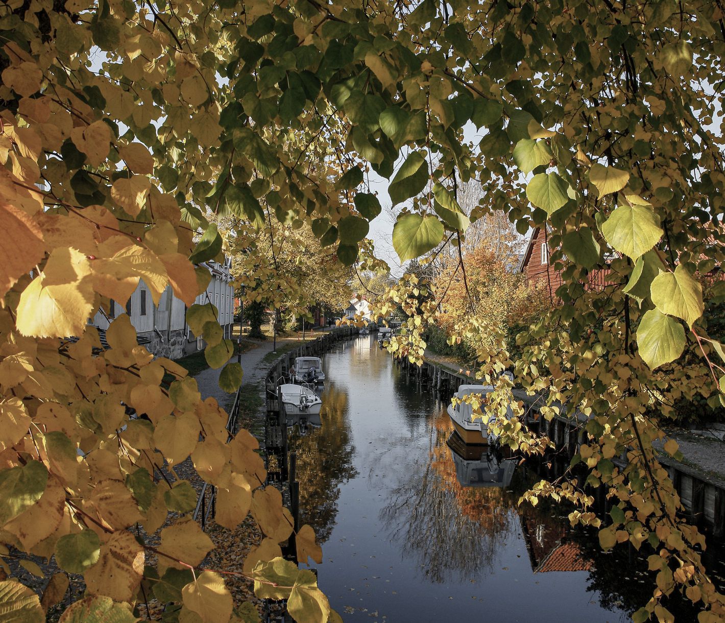 Ein Hauch von Hollywood am Ende der Welt