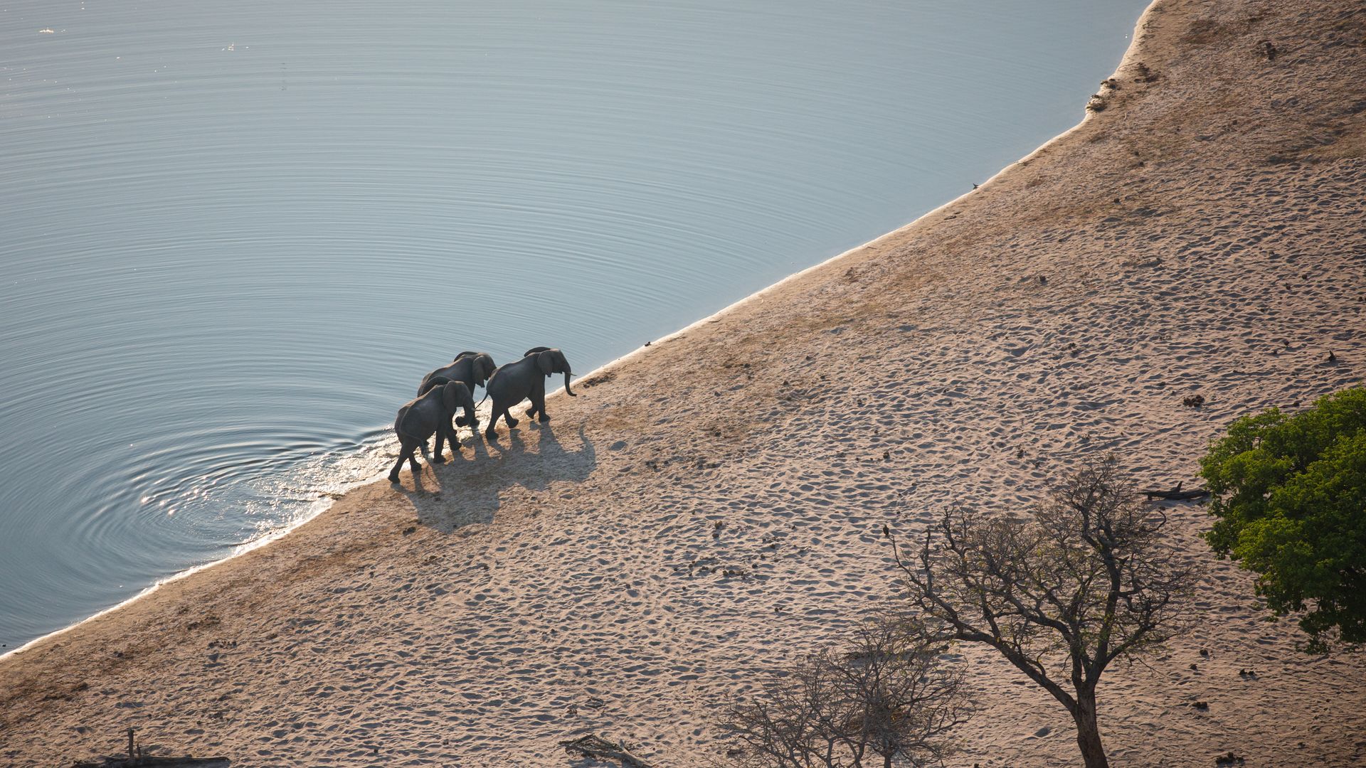 Une balade le long du fleuve