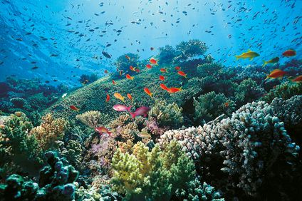 5. Bild der Rundreise