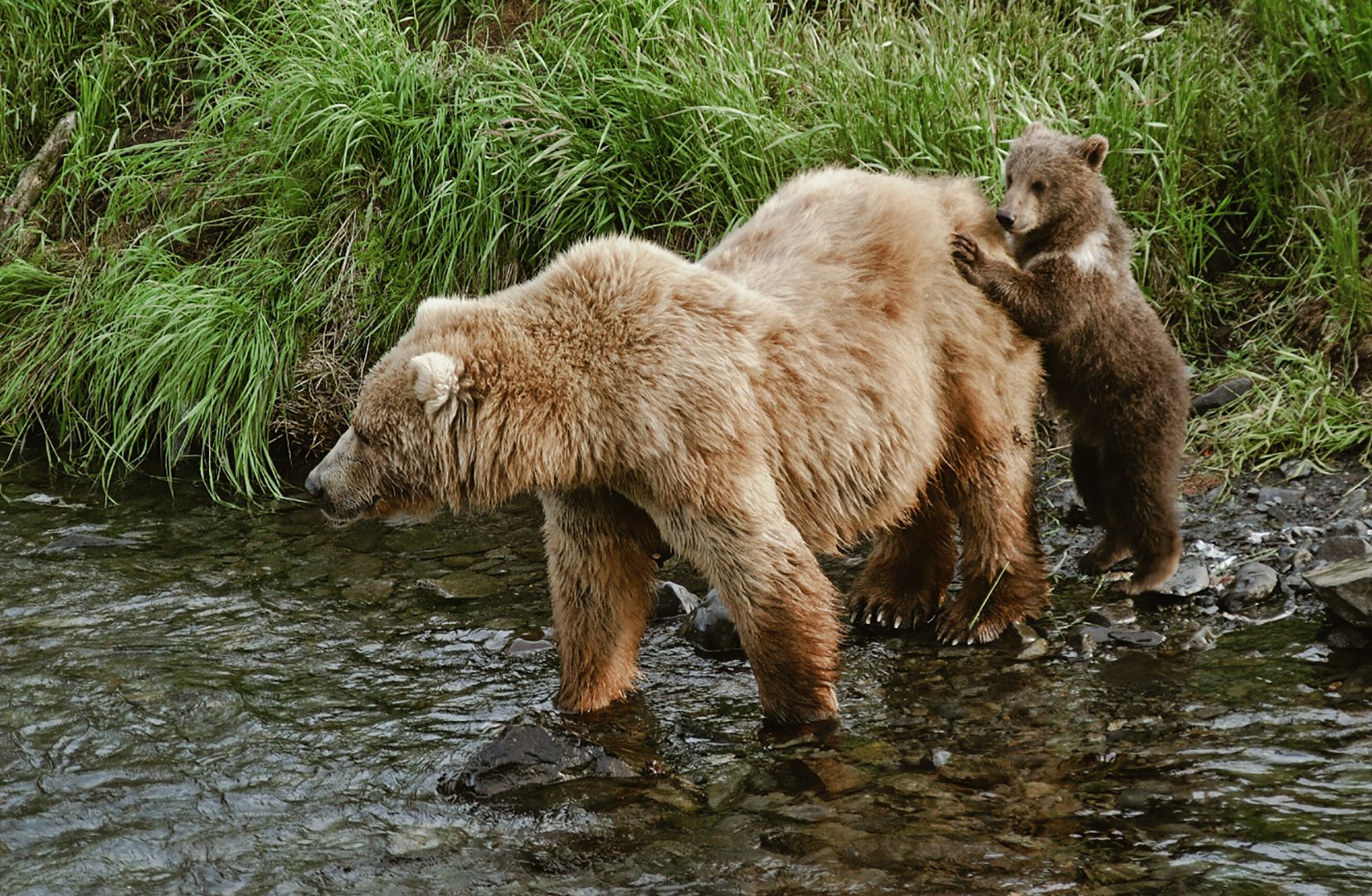 Bereits ganz schön neugierig