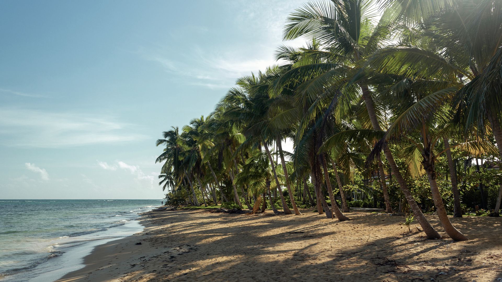 Idyllische Halbinsel Samana