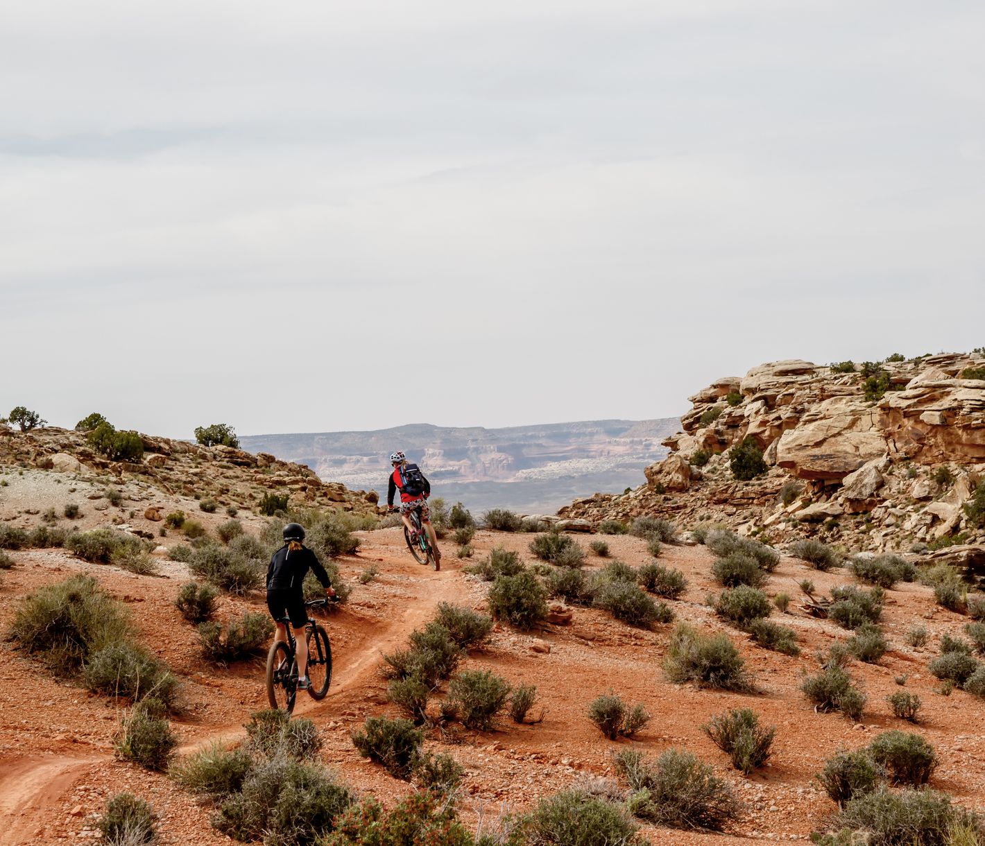 Slickrock Bike Trail dans le désert près de Moab