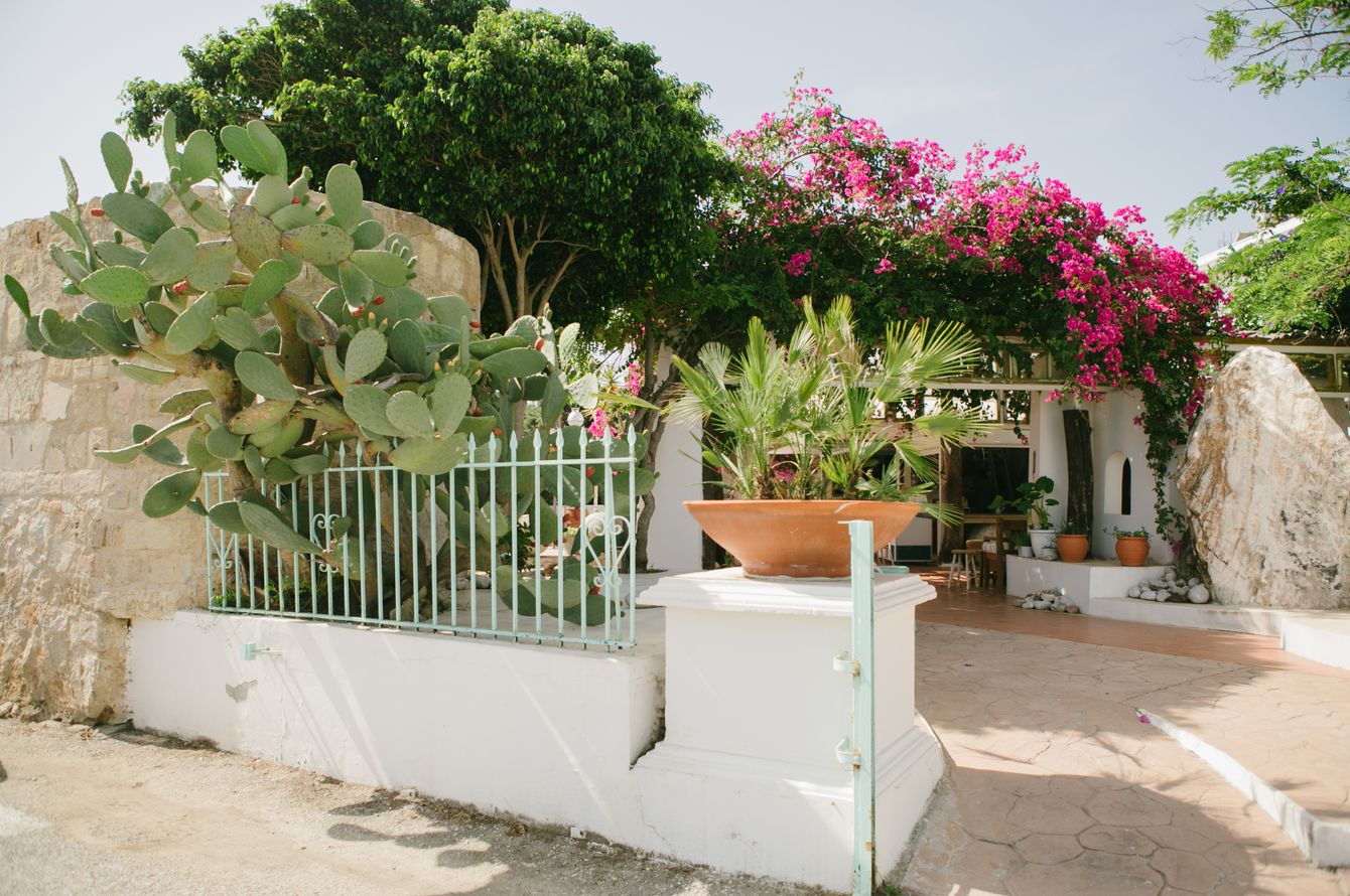 Gartenanlage