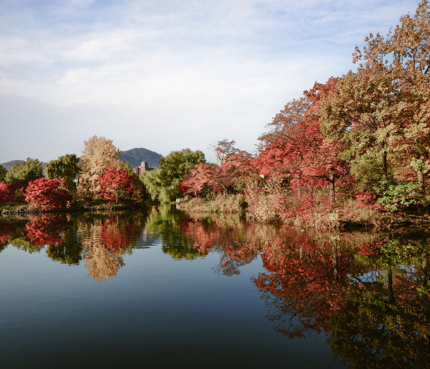 Le Parc Nakajima en automne