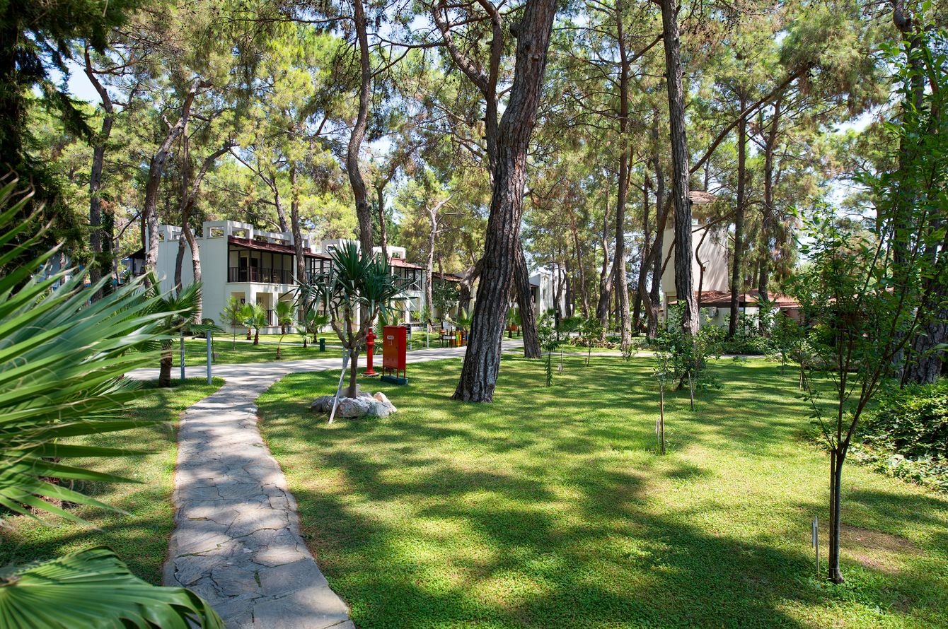 Jardin