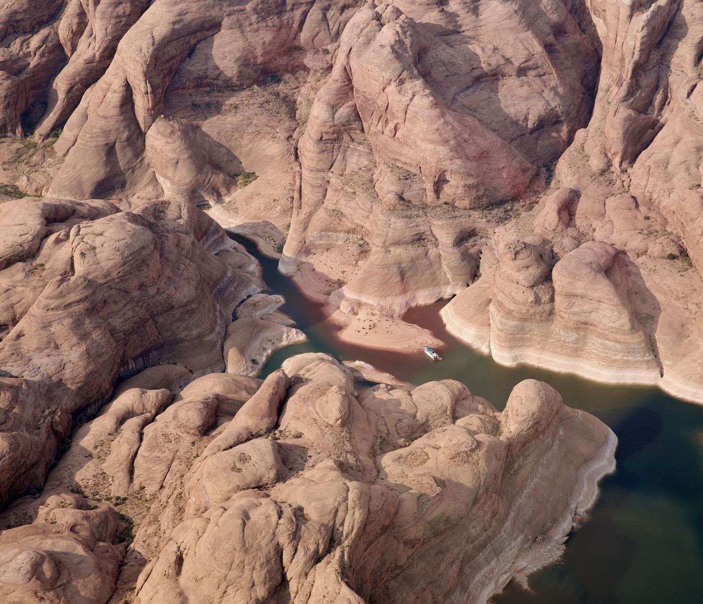 Die grünen Ausläufer des Colorado Rivers ziehen sich durch die roten Felsen des Canyonlands National Park.