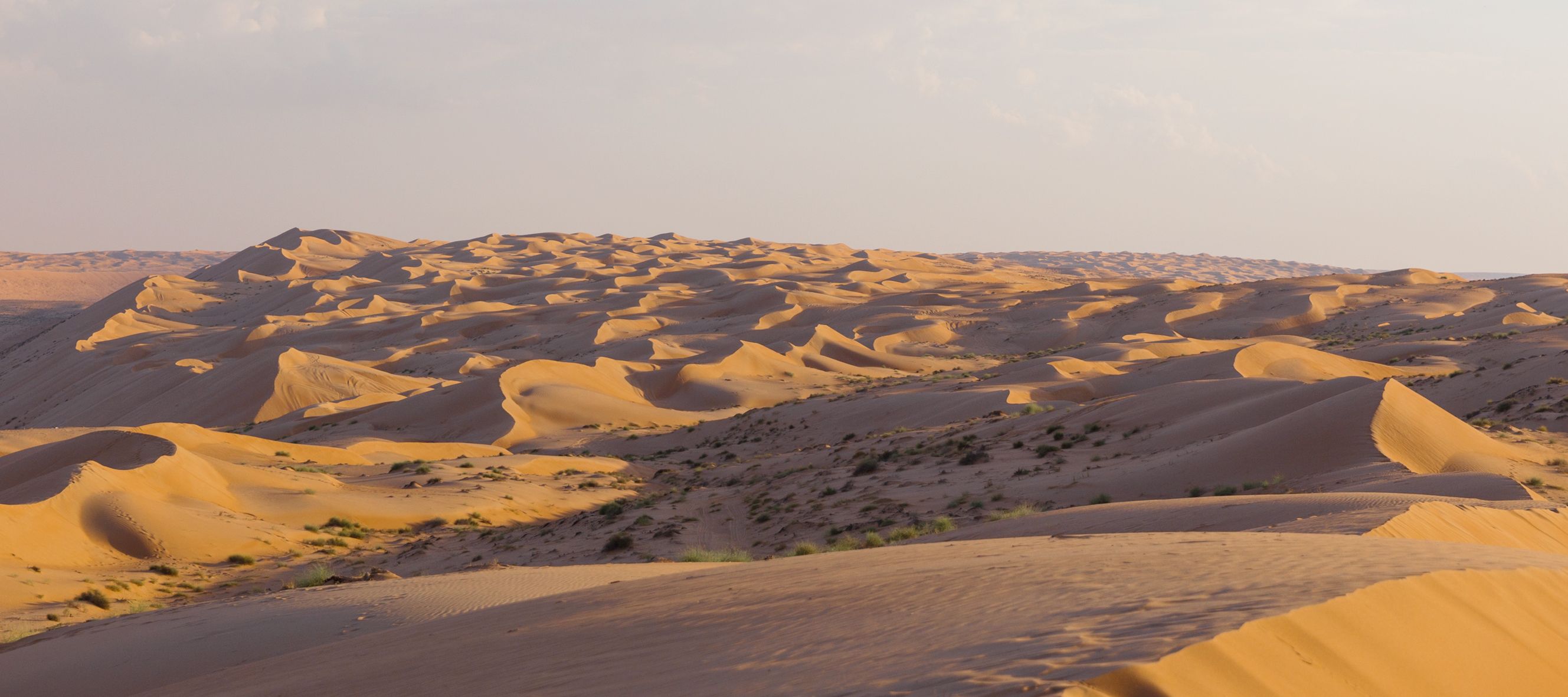 Instant d’éternité aux premières lueurs de l’aube dans le désert