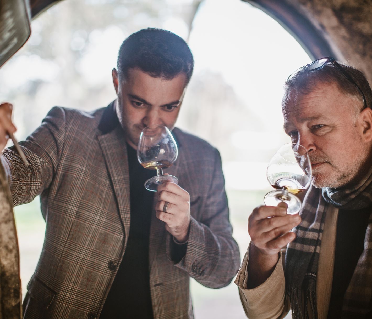 Verkostung unter Anleitung