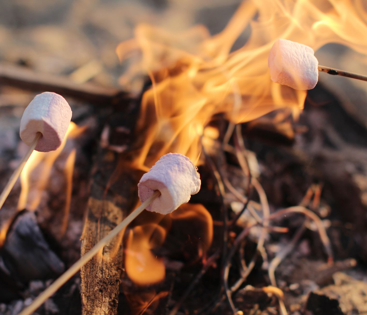 Cette expérience inoubliable sur la plage se doit d’être au menu de votre voyage.