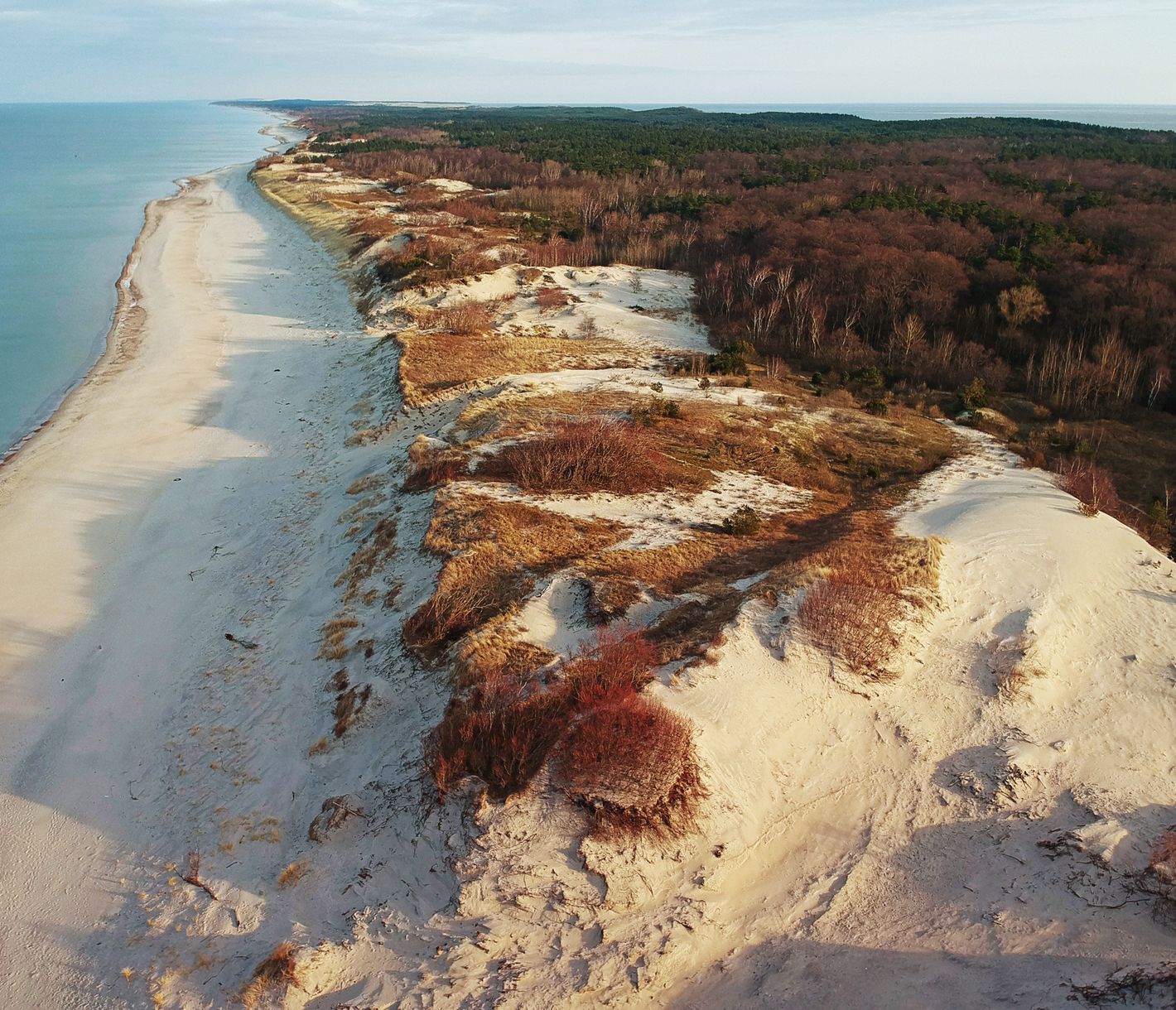 Die imposanten Sanddünen der Kurischen Nehrung sind die höchsten Europas.