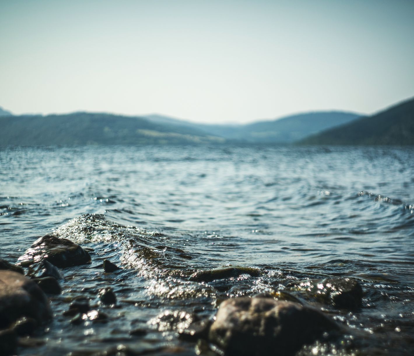 Suche nach «Nessie»