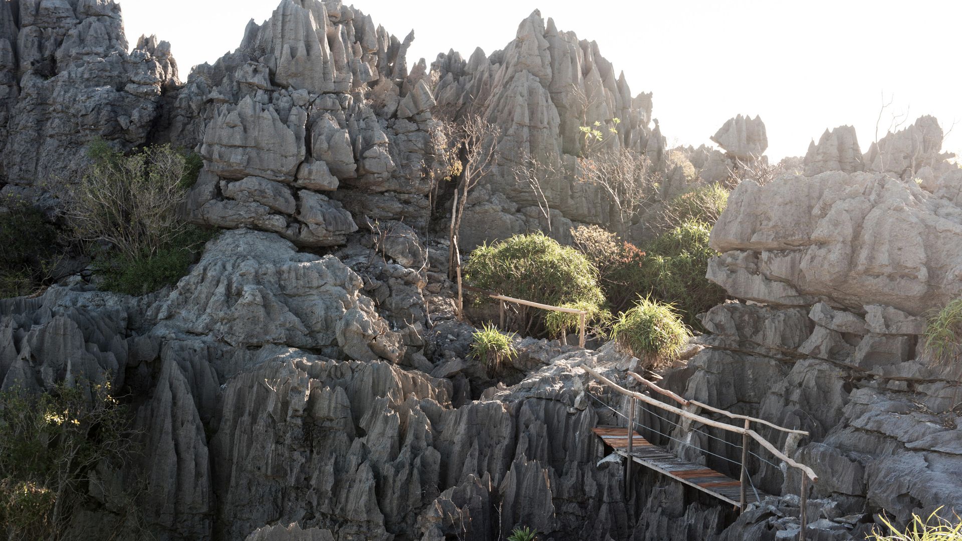 Ein Pfad schlänget sich durch die Tsingys des Ankarana-Massivs.