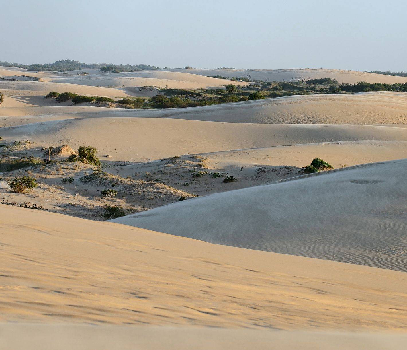 Lomas de Arenas : à seulement 12 km au sud de la ville de Santa Cruz, ce parc vous plonge tout de suite dans un autre monde !