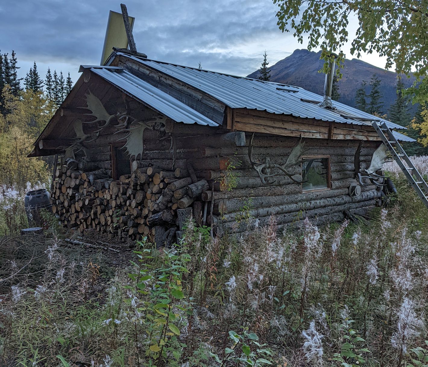 In der Zeit zurückversetzt