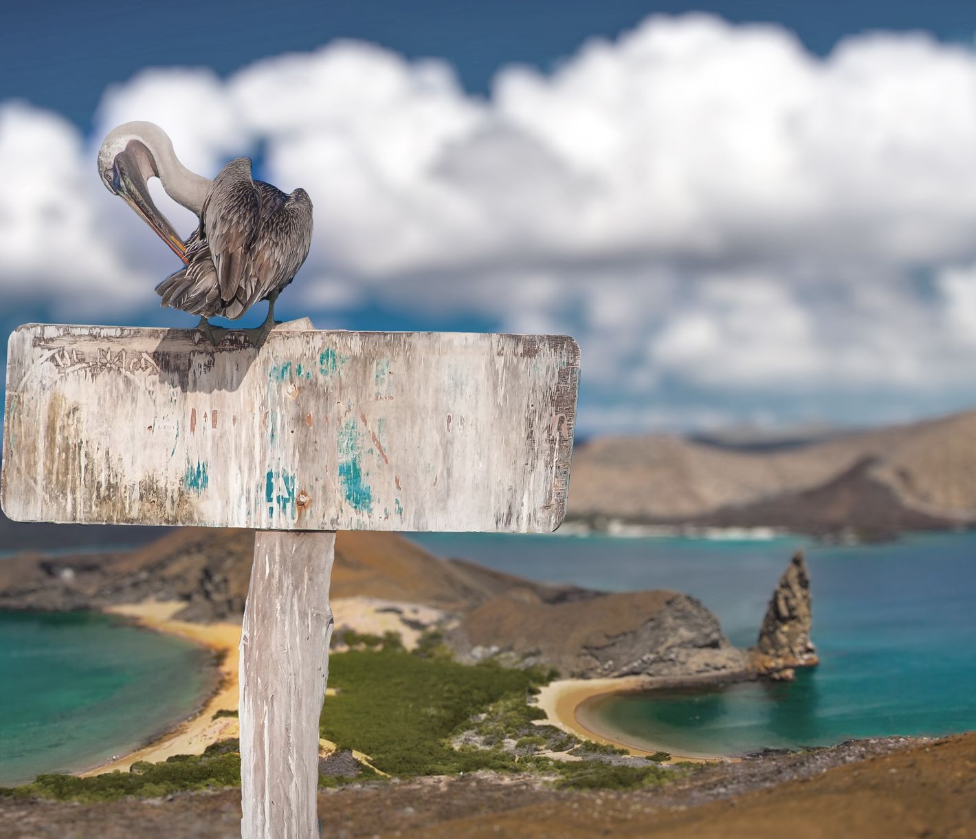 Atemberaubende Aussicht