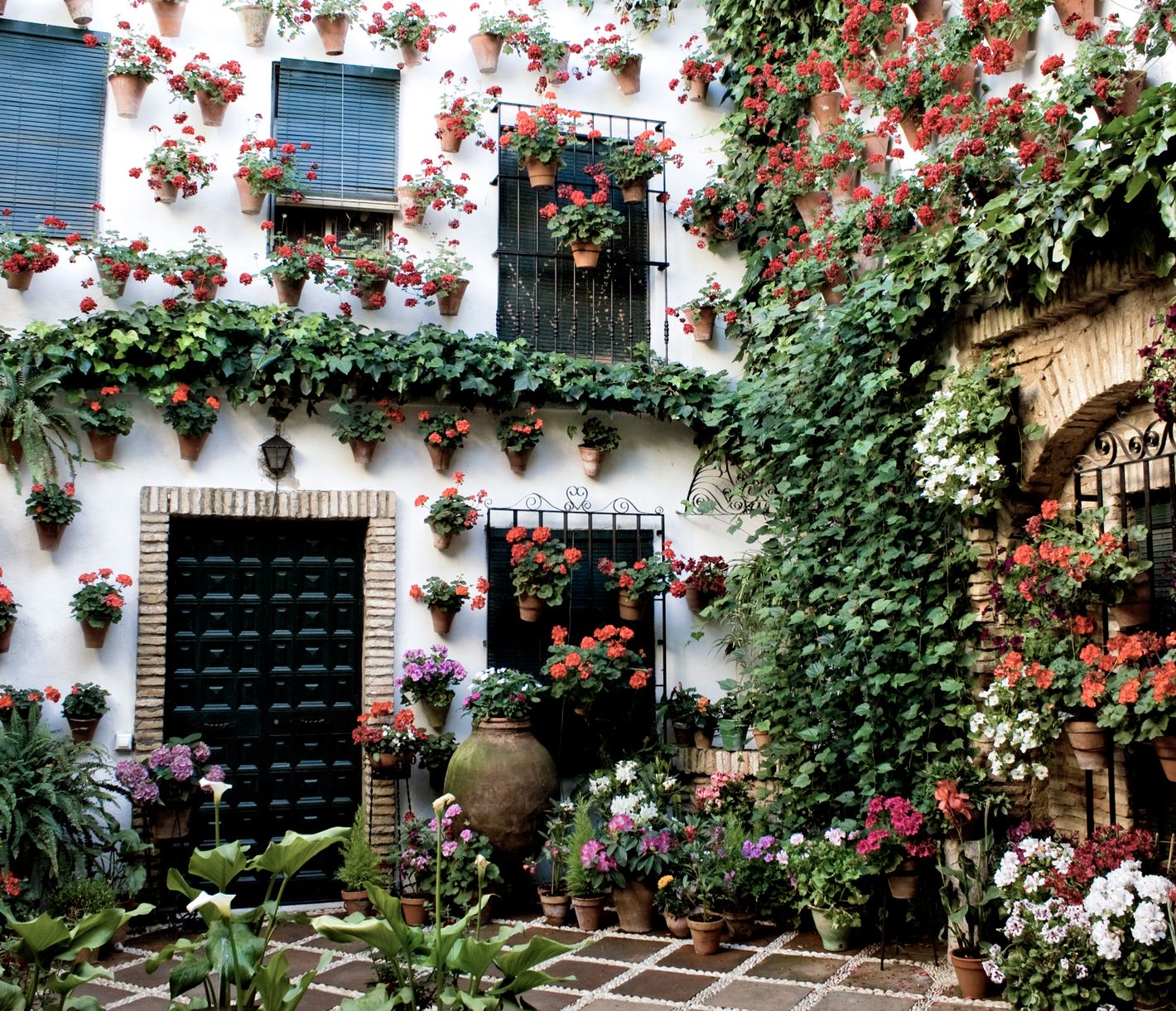 Blumenpracht in Córdoba