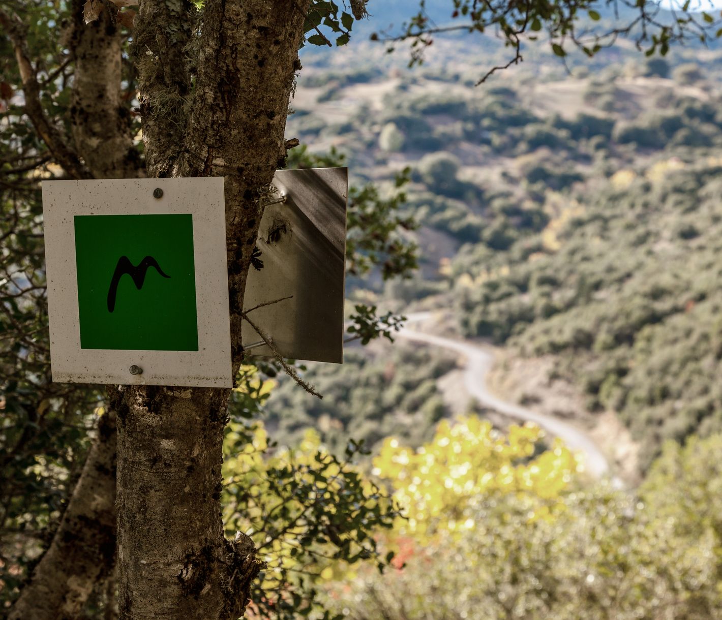 Wegmarkierung am Menalon Trail, Peloponnes