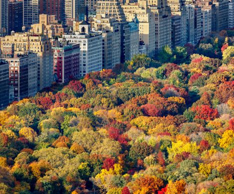 Les couleurs automnales de Central Park contrastent avec les vénérables bâtiments de l’Upper West Side.