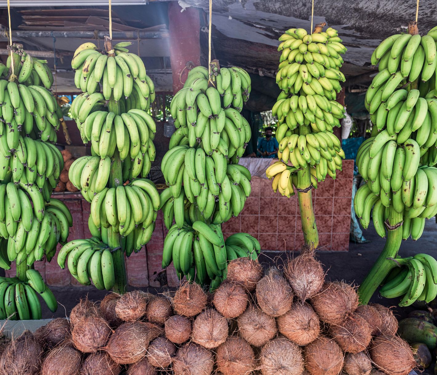 Fruchtbares Paradies im Süden Omans