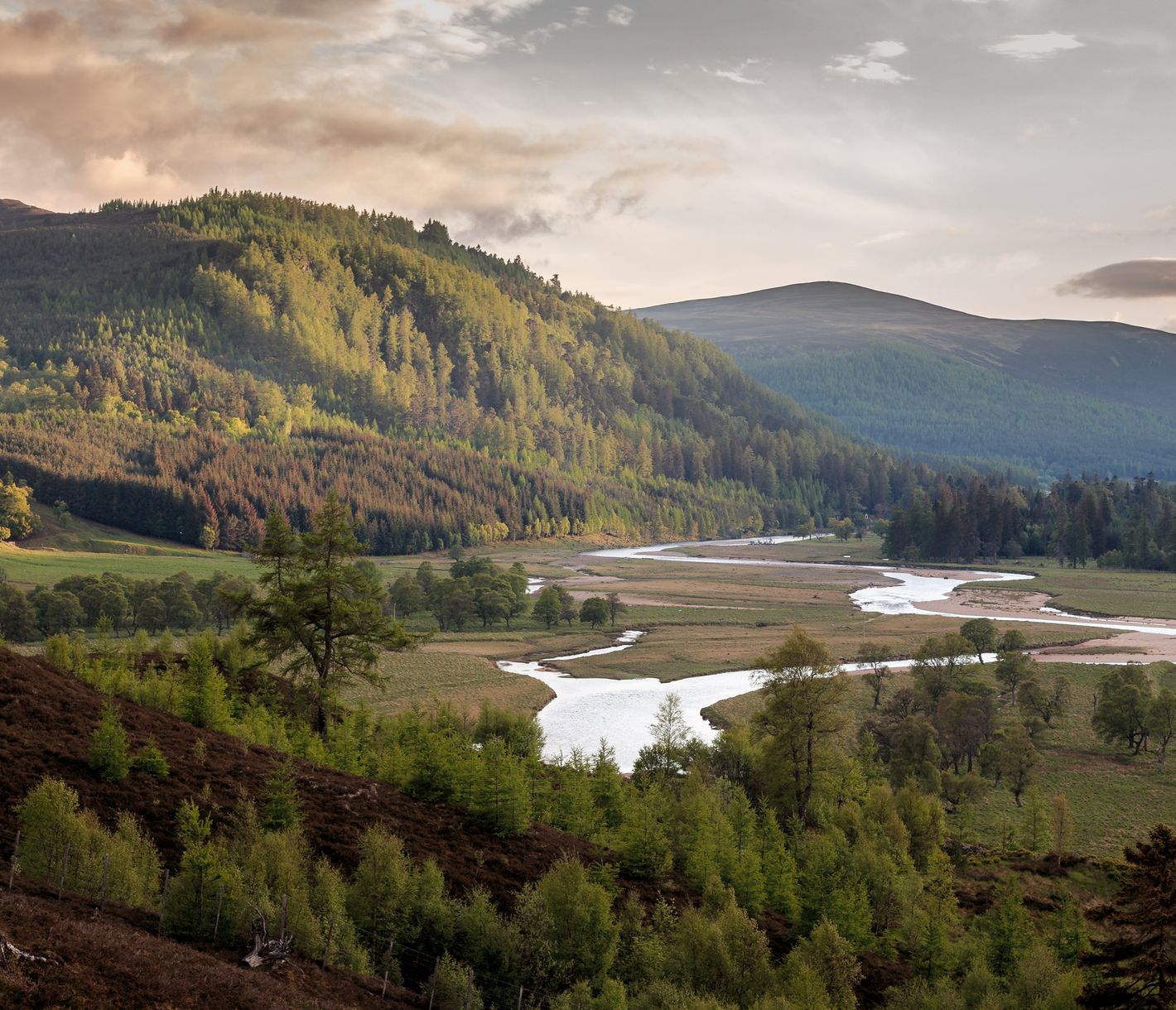 Abwechslungsreicher Cairngorms National Park