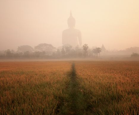 Mystischer Blick auf den in Reisfeldern gelegenen Wat Muang